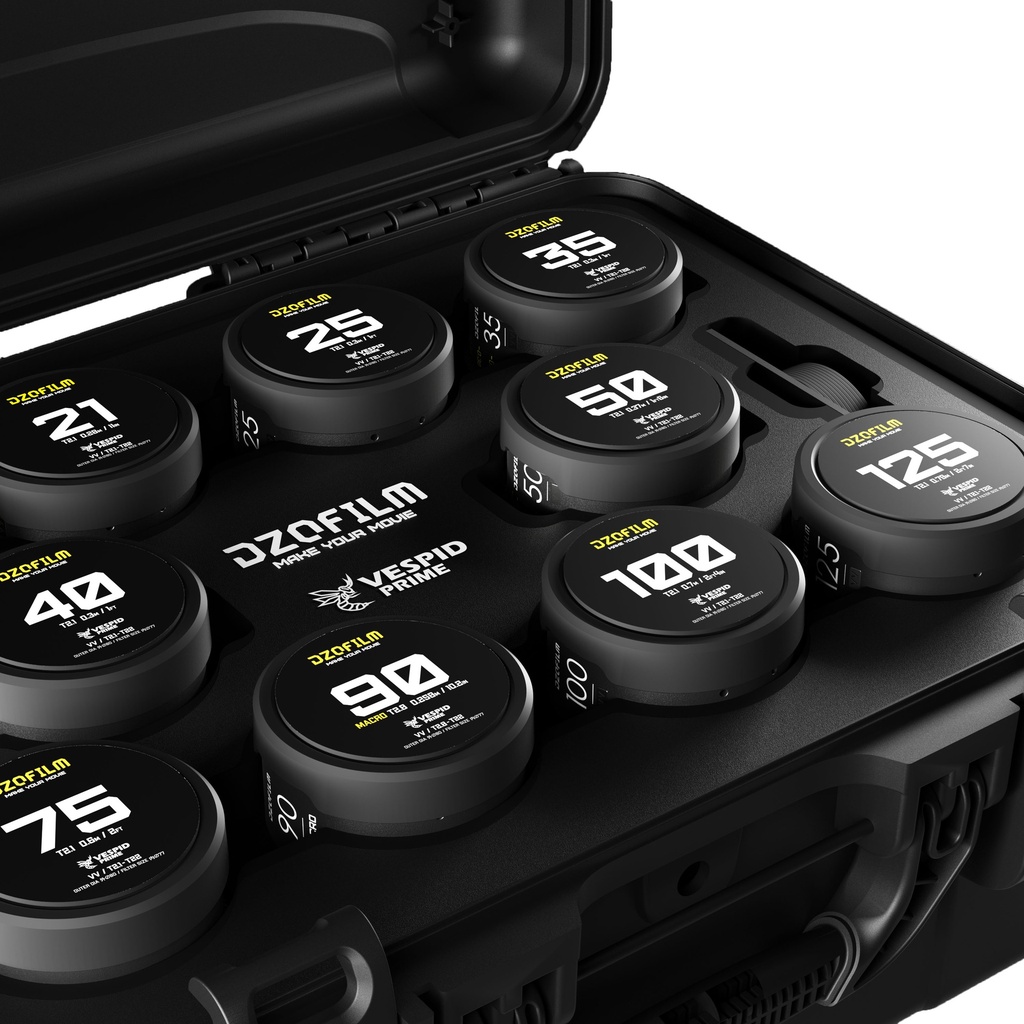 DZOFilm VESPID Prime Cine 10-Lenses Kit - 16/21/25/35/40/50/75/100/125 T2.1 + Macro 90 T2.8 metric (original PL )