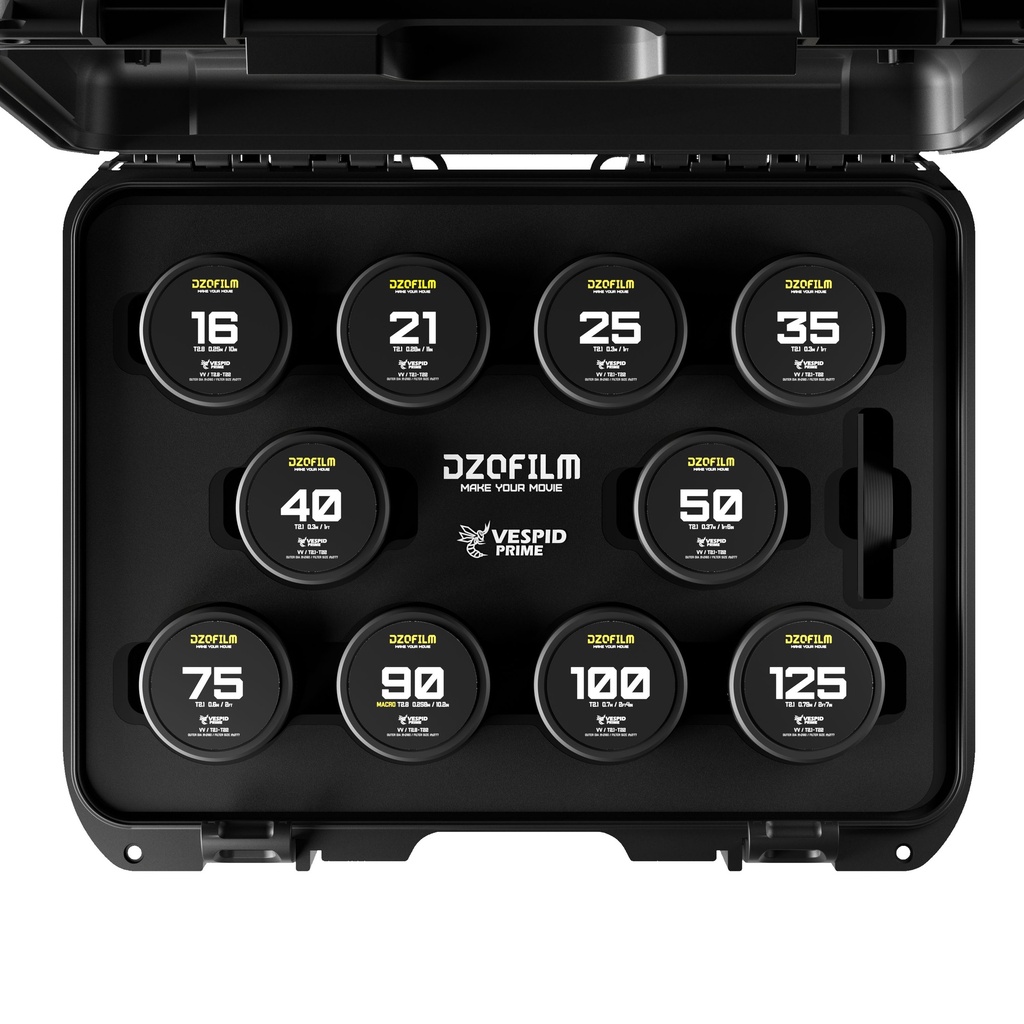 DZOFILM VESPID Prime Cine 10-Lenses Kit - 16/21/25/35/40/50/75/100/125 T2.1 + Macro 90 T2.8 imperial (original PL)