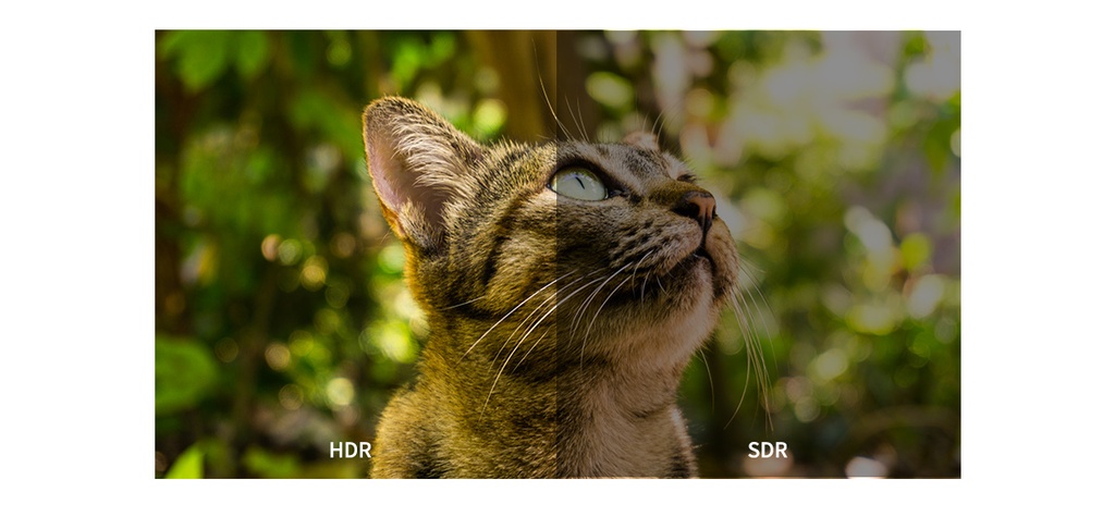RGBlink RMS2380U 23,8" UHD Monitor