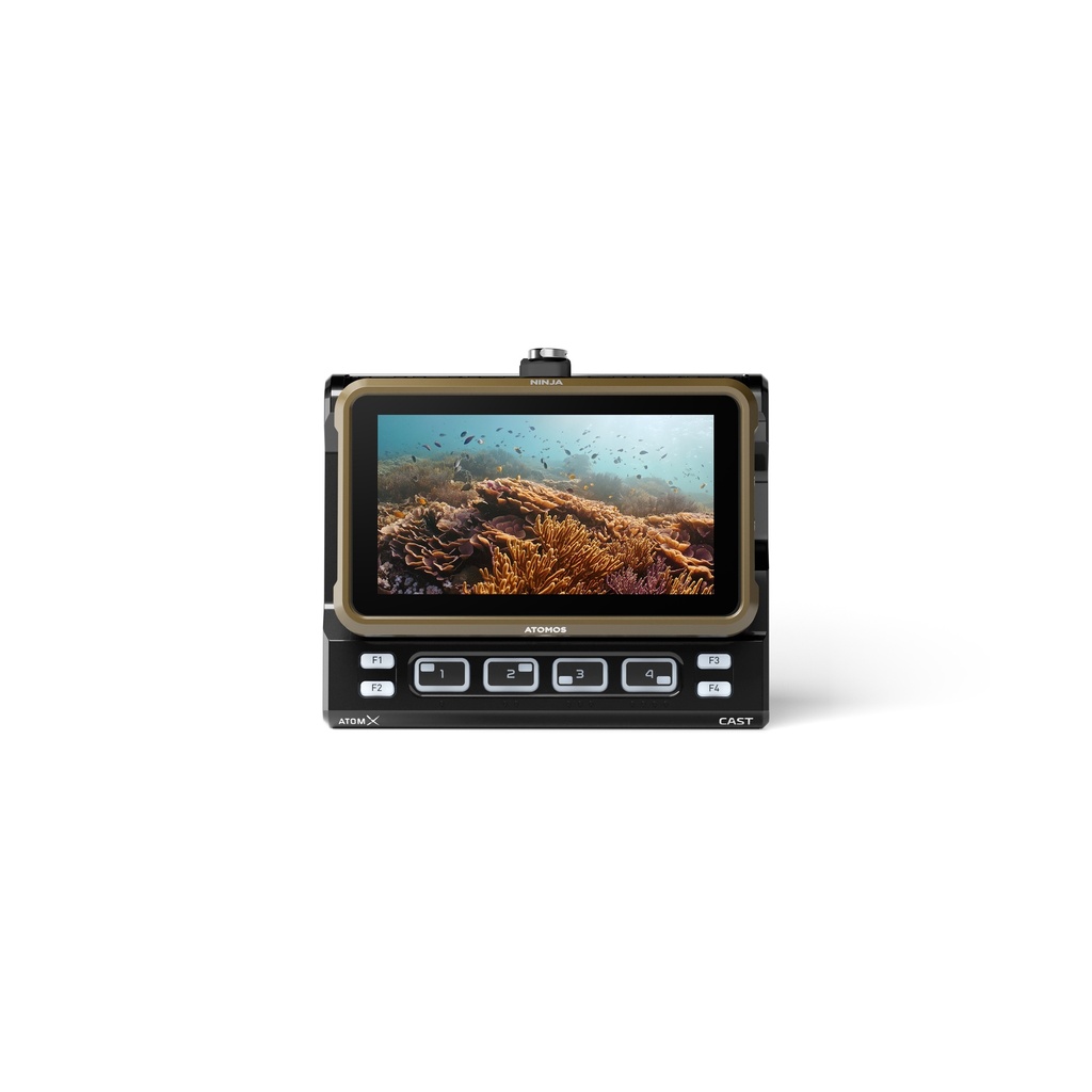 ATOMOS Ninja