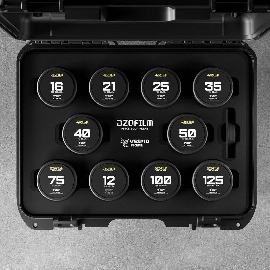 DZOFILM Vespid Prime Cine 10-Lens Kit (12/16mm T2.8+21/25/35/40/50/75/100/125mm T2.1(PL+EF mount)
