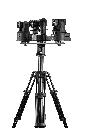 LIBEC LX-ePed Pro