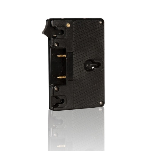 [SHABGL] SHAPE GOLD MOUNT LOCK PLATE